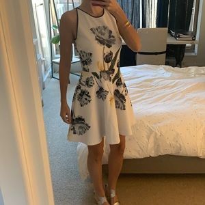 Gorgeous Ted Baker dress